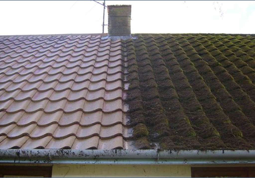 before and after2